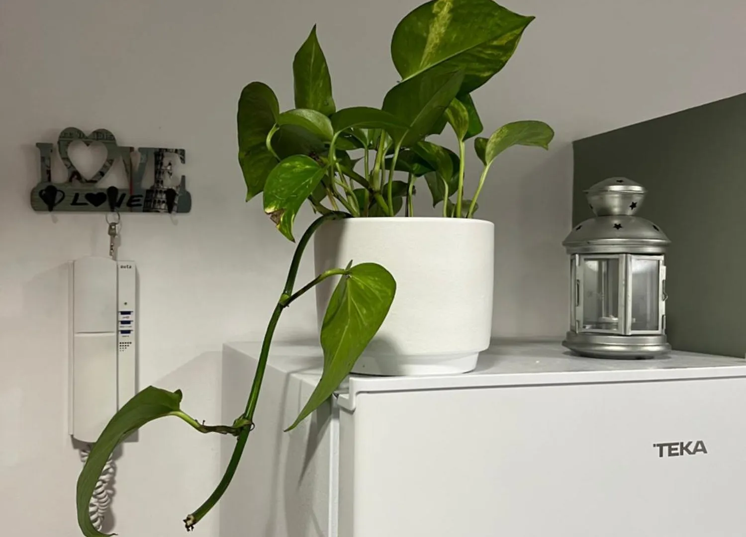 Private Terrace 1Br Apt - 4Min Walk To The Beach 피네다데마르 아파트